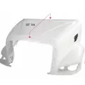 PETERBILT 387 1999-2011 HOOD thumbnail 1