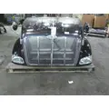 PETERBILT 387 1999-2011 HOOD thumbnail 12