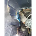 PETERBILT 387 1999-2011 HOOD thumbnail 8