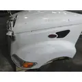 PETERBILT 387 1999-2011 HOOD thumbnail 14