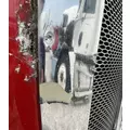 PETERBILT 387 Grille thumbnail 3