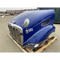 PETERBILT 387 Hood thumbnail 19