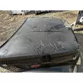 PETERBILT 387 Hood thumbnail 5