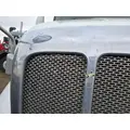 PETERBILT 387 Hood thumbnail 8