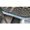 PETERBILT 387 Hood thumbnail 9