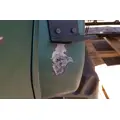 PETERBILT 387 Hood thumbnail 10