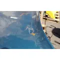 PETERBILT 387 Hood thumbnail 11