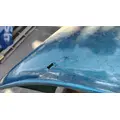 PETERBILT 387 Hood thumbnail 12