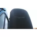 PETERBILT 387 MIRROR ASSEMBLY CABDOOR thumbnail 3