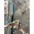 PETERBILT 388 Door Assembly, Front thumbnail 8