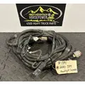 PETERBILT 389 Body Wiring Harness thumbnail 1