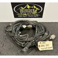 PETERBILT 389 Body Wiring Harness thumbnail 1