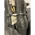 PETERBILT 389 Body Wiring Harness thumbnail 12