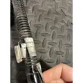 PETERBILT 389 Body Wiring Harness thumbnail 14