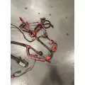 PETERBILT 389 Engine Wiring Harness thumbnail 3