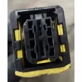 PETERBILT 389 Fuel Tank thumbnail 2