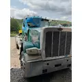 PETERBILT 389 Grille thumbnail 1