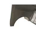 PETERBILT 389 HOOD thumbnail 6