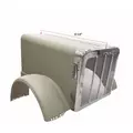 PETERBILT 389 Hood thumbnail 1