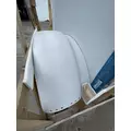 PETERBILT 389 Hood thumbnail 10