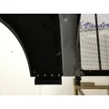 PETERBILT 389 Hood thumbnail 12