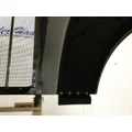 PETERBILT 389 Hood thumbnail 15