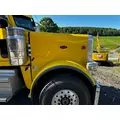 PETERBILT 389 Hood thumbnail 4