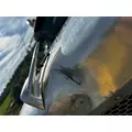 PETERBILT 389 Hood thumbnail 2