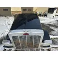 PETERBILT 389 Hood thumbnail 8