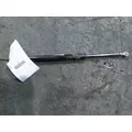 PETERBILT 536 HOOD SHOCKSTRUT thumbnail 2