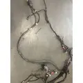 PETERBILT 567 Engine Wiring Harness thumbnail 4