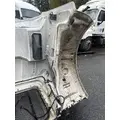 PETERBILT 567 Hood thumbnail 4
