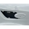 PETERBILT 567 Hood thumbnail 12