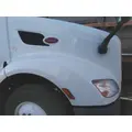 PETERBILT 579 2012-2022 HOOD thumbnail 3