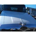 PETERBILT 579 2012-2022 HOOD thumbnail 1