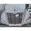 PETERBILT 579 2012-2022 HOOD thumbnail 1