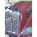 PETERBILT 579 2012-2022 HOOD thumbnail 5