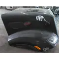 PETERBILT 579 2012-2022 HOOD thumbnail 6