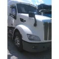 PETERBILT 579 2012-2022 HOOD thumbnail 3