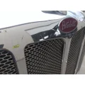 PETERBILT 579 2012-2022 HOOD thumbnail 5