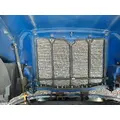 PETERBILT 579 2012-2022 HOOD thumbnail 11