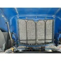 PETERBILT 579 2012-2022 HOOD thumbnail 25