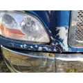 PETERBILT 579 2012-2022 HOOD thumbnail 4