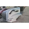 PETERBILT 579 2012-2022 HOOD thumbnail 14