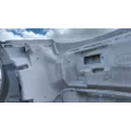 PETERBILT 579 2022-2025 HOOD thumbnail 14