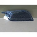 PETERBILT 579 AIR INTAKE LOUVERCOVER thumbnail 1