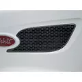 PETERBILT 579 AIR INTAKE LOUVERCOVER thumbnail 1