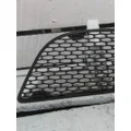 PETERBILT 579 AIR INTAKE LOUVERCOVER thumbnail 4