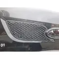 PETERBILT 579 AIR INTAKE LOUVERCOVER thumbnail 1