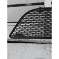 PETERBILT 579 AIR INTAKE LOUVERCOVER thumbnail 5